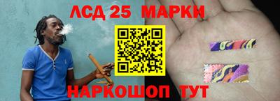 бошки Сланцы