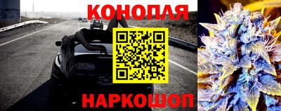 бошки Сланцы