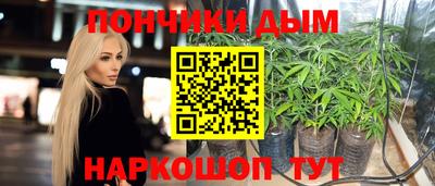 бошки Сланцы