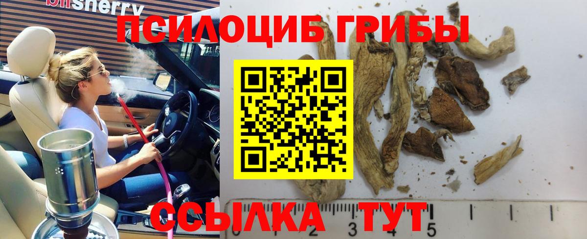 Псилоцибиновые грибы мухоморы Рузаевка